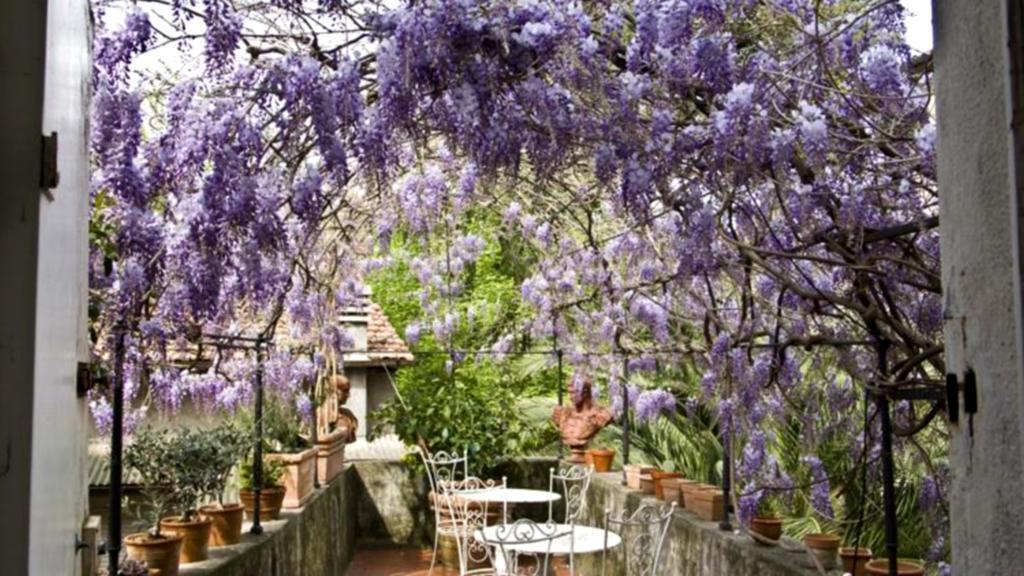 Locanda Sant' Agostino Lucca Exterior photo